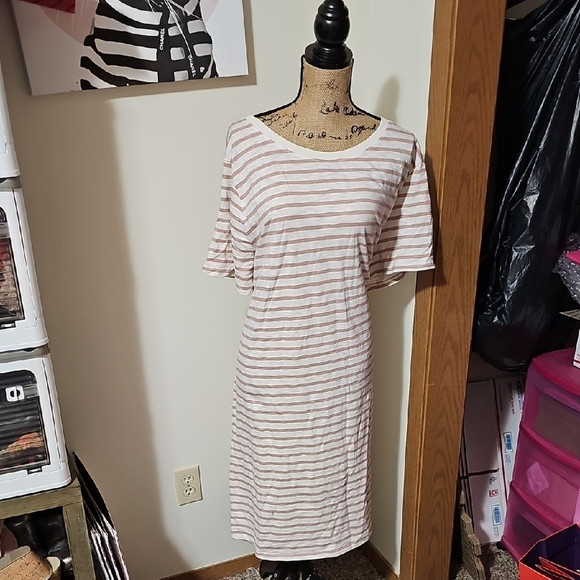 Universal Thread Cream And Beige Dress. Nwt. 3x - Picture 1 of 2
